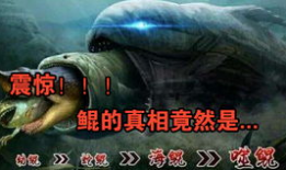 鲲漫画,探寻中国传统文化与现代漫画的奇妙融合